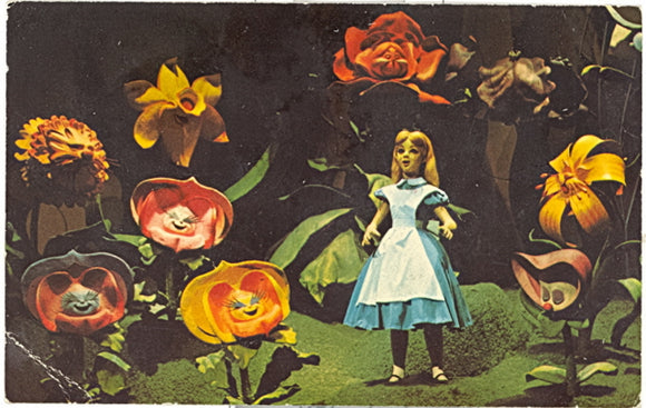 The Mickey Mouse Revue - Carey's Emporium