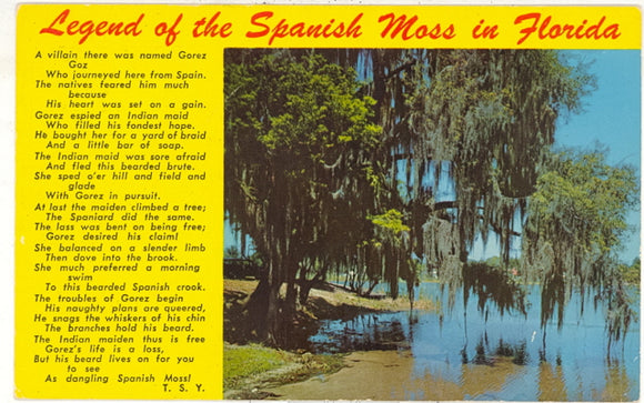 The Legend of the Spanish Moss in Florida - Carey's Emporium