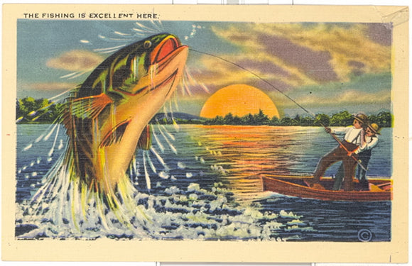 The Fishing is Excellent Here - Carey's Emporium