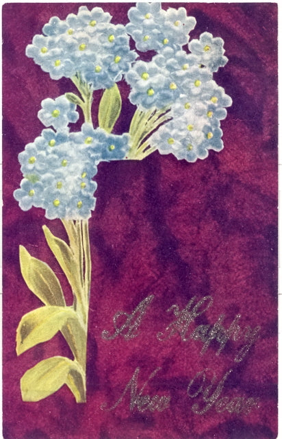 A Happy New Year - Carey's Emporium