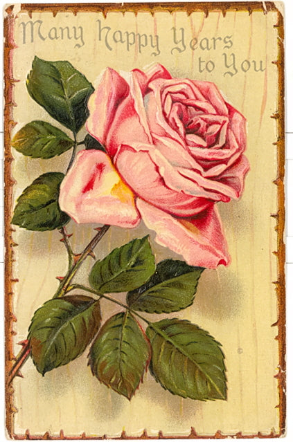 Many Happy Years to You - Carey's Emporium