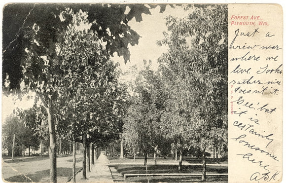 Forest Avenue, Plymouth, WI - Carey's Emporium