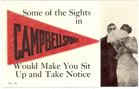 Some of the Sights in Campbellsport Would Make You Sit Up and Take Notice - Carey's Emporium