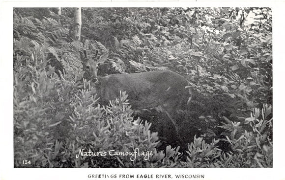 Greetings From Eagle River, WI - Carey's Emporium