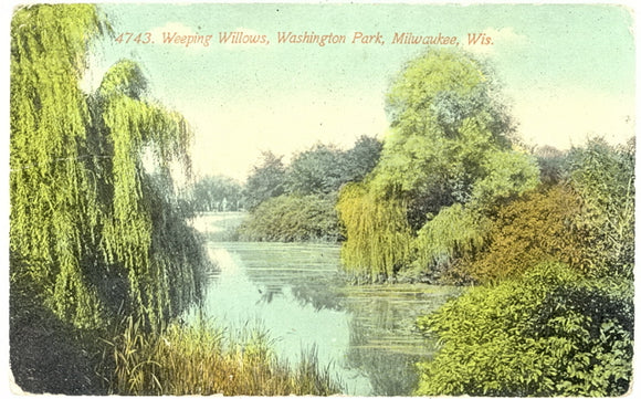 Weeping Willows, Washington Park, Milwaukee, WI - Carey's Emporium