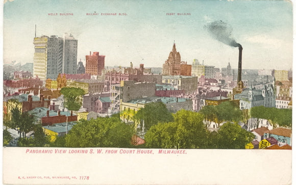 Panoramic View Looking S. W. From Court House, Milwaukee, WI - Carey's Emporium