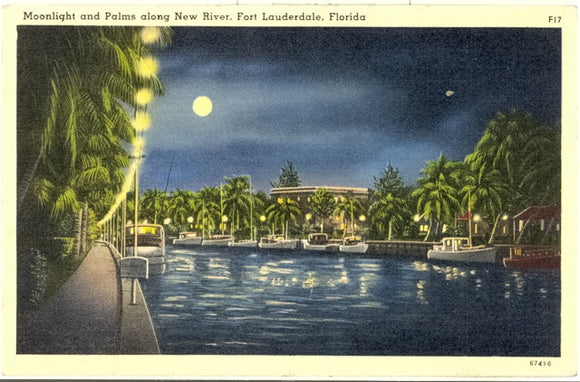 Moonlight and Palms along New River, Fort Lauderdale, FL - Carey's Emporium
