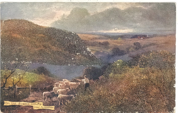 On The Sussex Downs, Alfriston, Sussex - Carey's Emporium