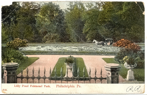 Lilly Pond, Fairmond Park, Philadelphia, PA - Carey's Emporium
