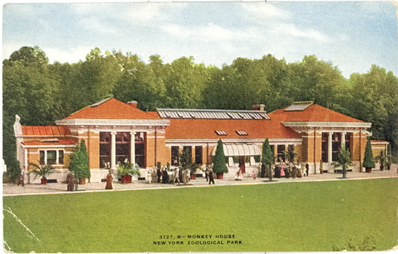 Monkey House, New York Zoological Park, New York City, NY - Carey's Emporium