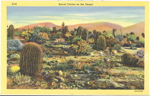 Barrel Cactus on the Desert - Carey's Emporium