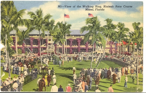 View of the Walking Ring, Hialeah Race Course, Miami, FL - Carey's Emporium