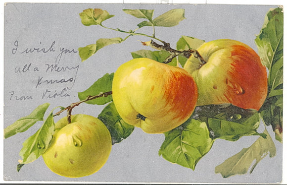 Apples - Carey's Emporium