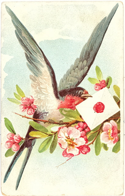 Bird Delivering Greetings - Carey's Emporium