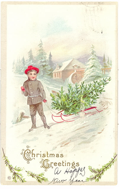 Christmas Greetings - Carey's Emporium