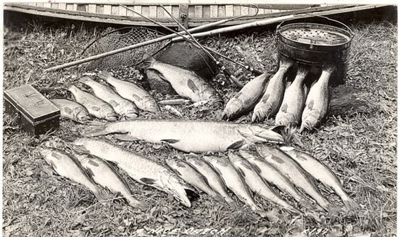 Greetings From International Falls, MN - Carey's Emporium