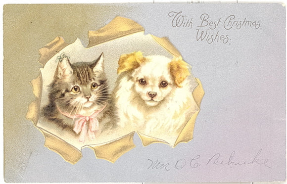 With Best Christmas Wishes - Carey's Emporium