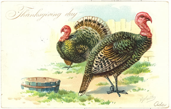 Thanksgiving Day - Carey's Emporium