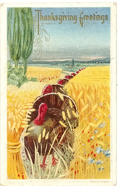 Thanksgiving Greetings - Carey's Emporium