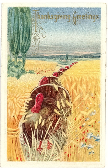 Thanksgiving Greetings - Carey's Emporium