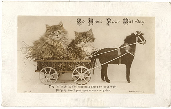 To Greet Your Birthday Exaggeration - Carey's Emporium