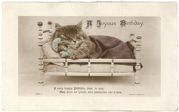 A Joyous Birthday Exxageration - Carey's Emporium