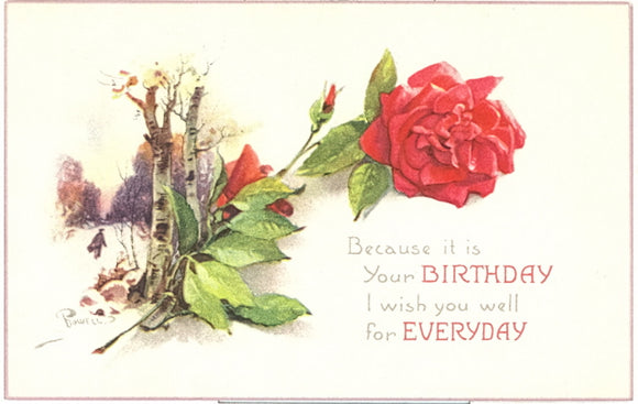 Because It Is Your Birthday I Wish You Well For Everyday - Carey's Emporium