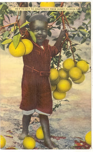 He'p Yo'se'f to Grapefruit From Sunny Florida - Carey's Emporium