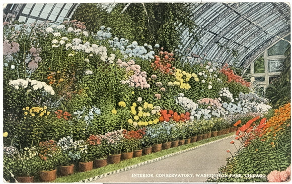 Interior, Conservatory, Washington Park, Chicago, IL - Carey's Emporium