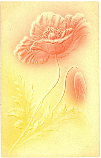 Many Happy Returns - Carey's Emporium