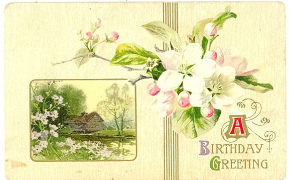 A Birthday Greeting - Carey's Emporium