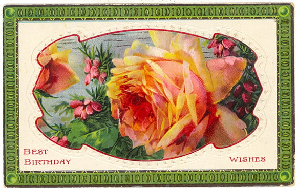 Best Birthday Wishes - Carey's Emporium