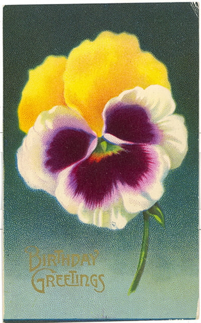 Birthday Greetings - Carey's Emporium