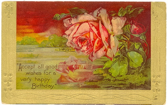 Accept All Good Wishes For A Very Happy Birthday - Carey's Emporium