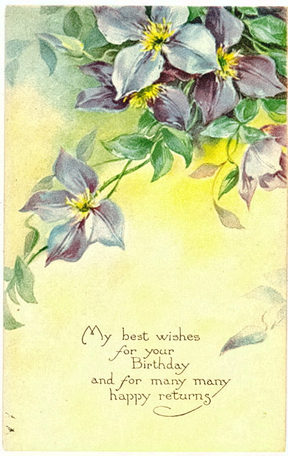 My best wishes for your Birthday and for many many happy returns - Carey's Emporium