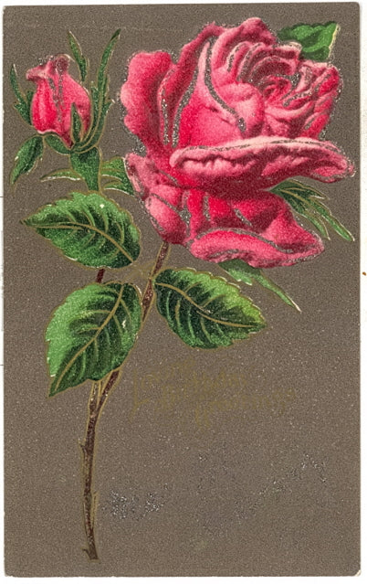 Loving Birthday Greetings - Carey's Emporium