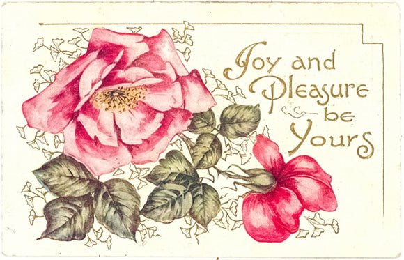 Joy And Pleasure Be Yours - Carey's Emporium