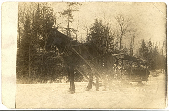 Horse Drawn Sleigh Full of Wood, Phillips, WI - Carey's Emporium