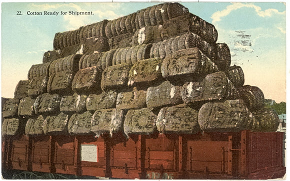 Cotton Ready For Shipment, Fort Worth, TX - Carey's Emporium