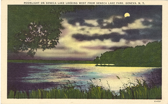 Moonlight on Seneca Lake Looking West From Seneca Lake Park, Geneva, NY - Carey's Emporium