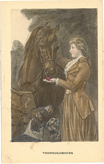 Thoroughbreds - Carey's Emporium