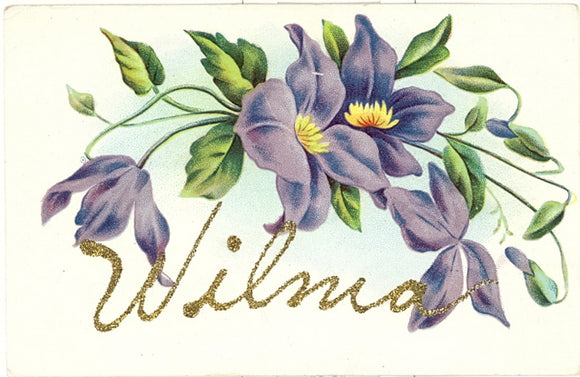 Wilma - Carey's Emporium