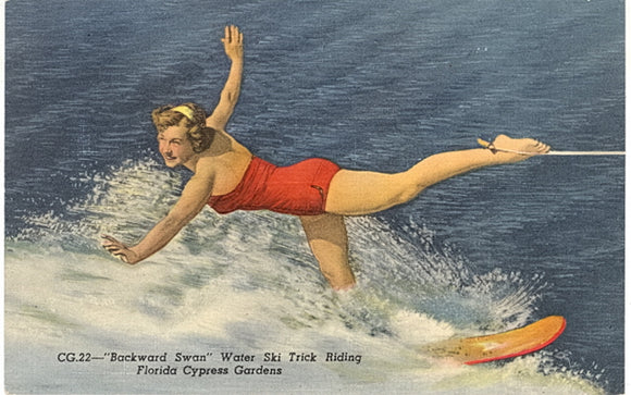 Backward Swan Water Ski Trick Riding, Cypress Gardens, FL - Carey's Emporium