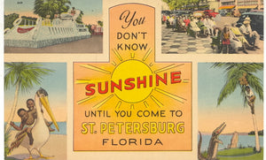 You Don't Know Sunshine Until You Come To St. Petersburg, FL - Carey's Emporium