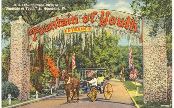 Entrance Drive to Fountain of Youth, St. Augustine, FL - Carey's Emporium
