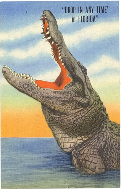 Drop In Any Time in Florida - Carey's Emporium