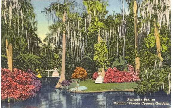 Reflection Pool at Beautiful Cypress Gardens, FL - Carey's Emporium