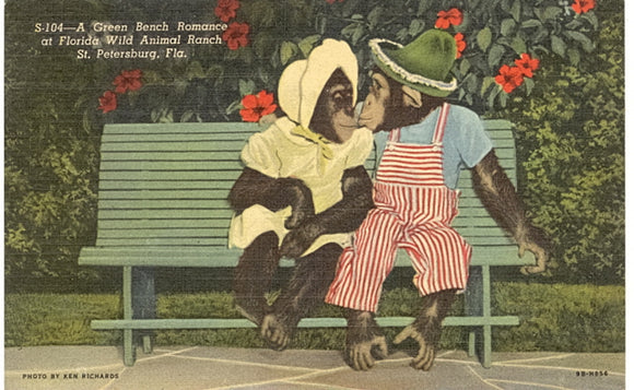A Green Bench Romance at Florida Wild Animal Ranch, St. Petersburg, FL - Carey's Emporium