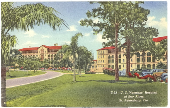 U. S. Veterans' Hospital at Bay Pines, St. Petersburg, FL - Carey's Emporium