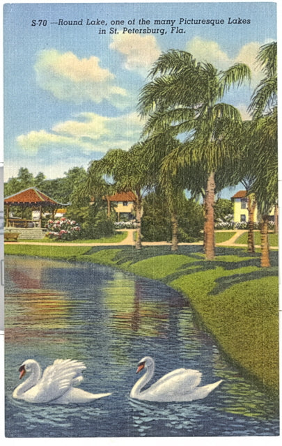 Round Lake, one of the many Picturesque Lakes in St. Petersburg, FL - Carey's Emporium